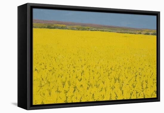 Rape Field, 2003-Alan Byrne-Framed Premier Image Canvas