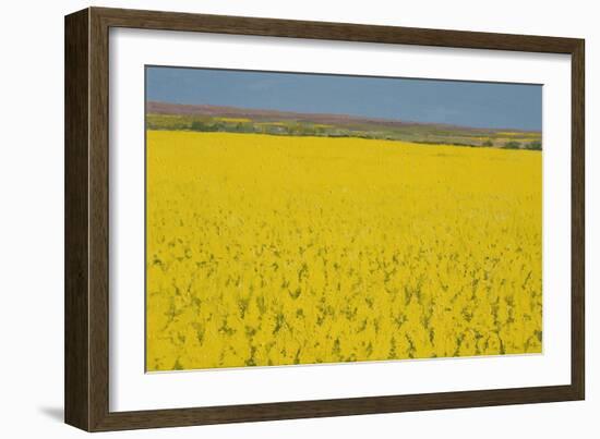 Rape Field, 2003-Alan Byrne-Framed Giclee Print