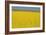 Rape Field, 2003-Alan Byrne-Framed Giclee Print