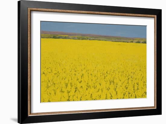 Rape Field, 2003-Alan Byrne-Framed Giclee Print