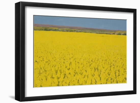 Rape Field, 2003-Alan Byrne-Framed Giclee Print