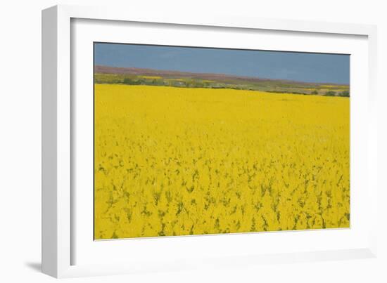 Rape Field, 2003-Alan Byrne-Framed Giclee Print