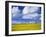 Rape Field and Blue Sky with White Clouds-Nigel Francis-Framed Photographic Print