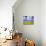 Rape Field and Blue Sky with White Clouds-Nigel Francis-Mounted Photographic Print displayed on a wall