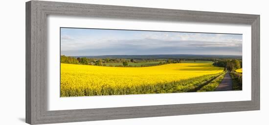 Rape Field, Guildford, Surrey, England, United Kingdom, Europe-Matthew Williams-Ellis-Framed Photographic Print