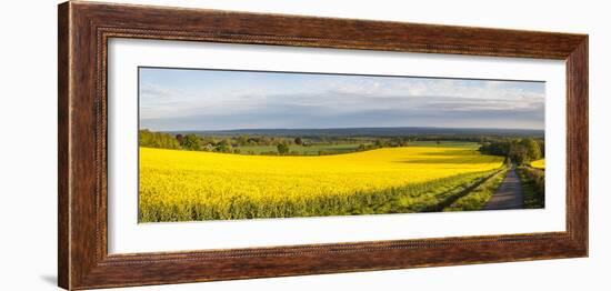 Rape Field, Guildford, Surrey, England, United Kingdom, Europe-Matthew Williams-Ellis-Framed Photographic Print