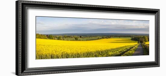 Rape Field, Guildford, Surrey, England, United Kingdom, Europe-Matthew Williams-Ellis-Framed Photographic Print