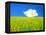 Rape Field-null-Framed Premier Image Canvas