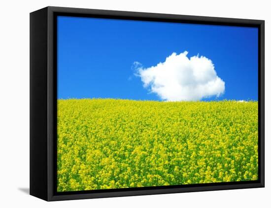 Rape Field-null-Framed Premier Image Canvas