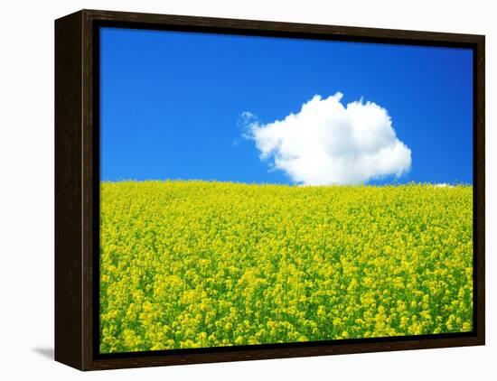 Rape Field-null-Framed Premier Image Canvas