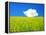 Rape Field-null-Framed Premier Image Canvas