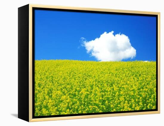 Rape Field-null-Framed Premier Image Canvas