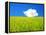 Rape Field-null-Framed Premier Image Canvas