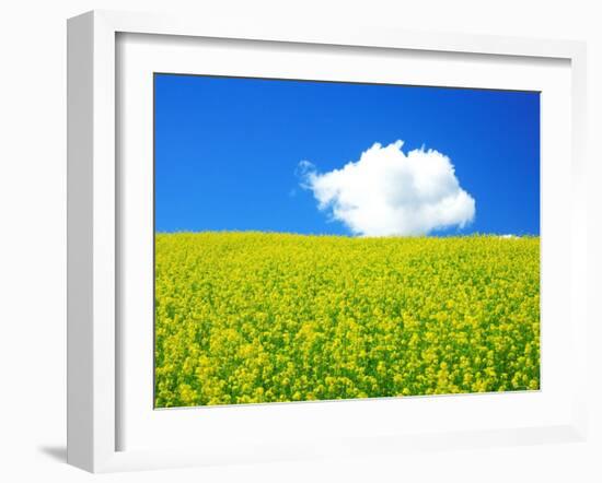 Rape Field-null-Framed Photographic Print