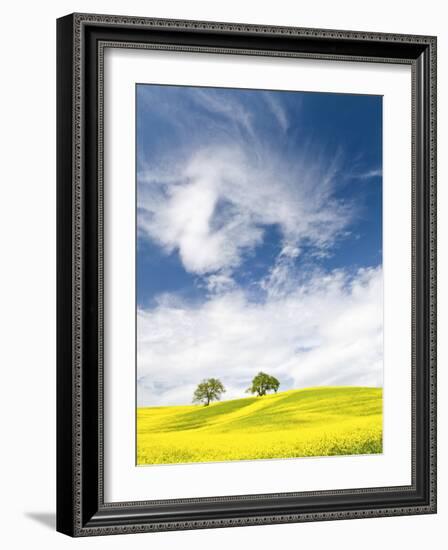 Rape Fields in Orcia Valley, Tuscany, Italy-Nadia Isakova-Framed Photographic Print