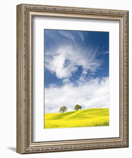 Rape Fields in Orcia Valley, Tuscany, Italy-Nadia Isakova-Framed Photographic Print