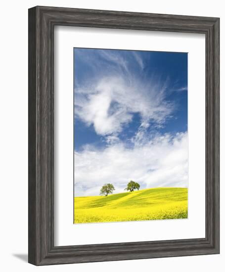 Rape Fields in Orcia Valley, Tuscany, Italy-Nadia Isakova-Framed Photographic Print