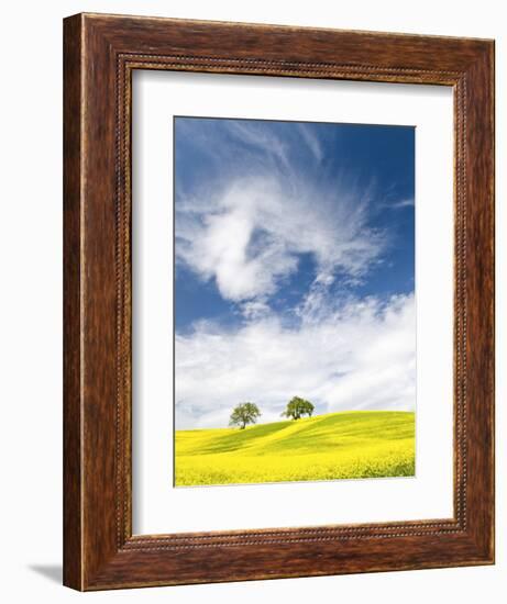 Rape Fields in Orcia Valley, Tuscany, Italy-Nadia Isakova-Framed Photographic Print