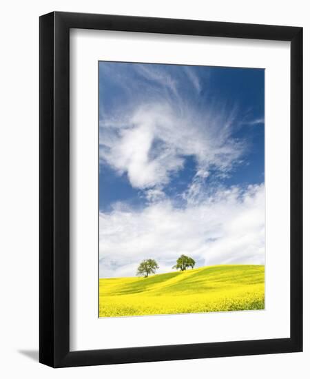 Rape Fields in Orcia Valley, Tuscany, Italy-Nadia Isakova-Framed Photographic Print