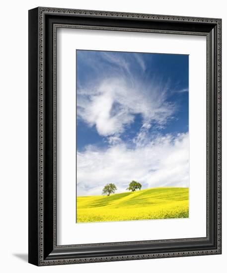 Rape Fields in Orcia Valley, Tuscany, Italy-Nadia Isakova-Framed Photographic Print