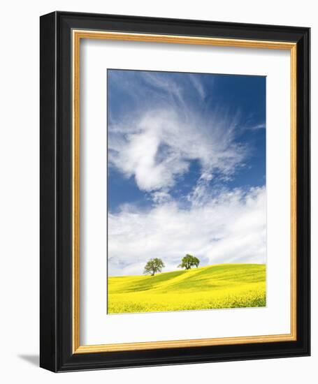 Rape Fields in Orcia Valley, Tuscany, Italy-Nadia Isakova-Framed Photographic Print