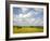 Rape Fields, Jutland, Denmark, Scandinavia, Europe-Yadid Levy-Framed Photographic Print