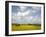 Rape Fields, Jutland, Denmark, Scandinavia, Europe-Yadid Levy-Framed Photographic Print