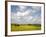 Rape Fields, Jutland, Denmark, Scandinavia, Europe-Yadid Levy-Framed Photographic Print