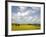 Rape Fields, Jutland, Denmark, Scandinavia, Europe-Yadid Levy-Framed Photographic Print