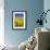 Rape Fields-David Clapp-Framed Photographic Print displayed on a wall