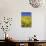 Rape Fields-David Clapp-Photographic Print displayed on a wall