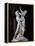 Rape of Prosperpina-Gian Lorenzo Bernini-Framed Stretched Canvas