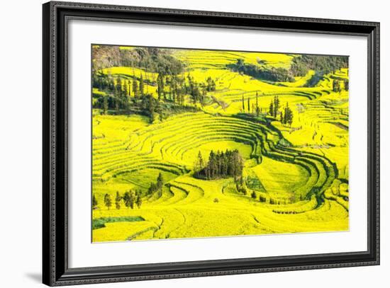 Rapeseed Farms in Niujie, Luoping-Nadia Isakova-Framed Photographic Print