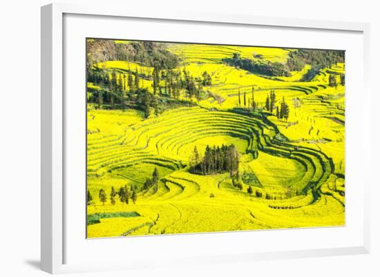 Rapeseed Farms in Niujie, Luoping-Nadia Isakova-Framed Photographic Print