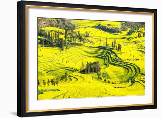 Rapeseed Farms in Niujie, Luoping-Nadia Isakova-Framed Photographic Print