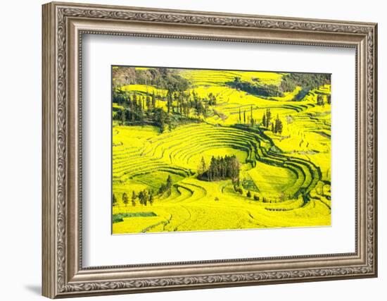 Rapeseed Farms in Niujie, Luoping-Nadia Isakova-Framed Photographic Print