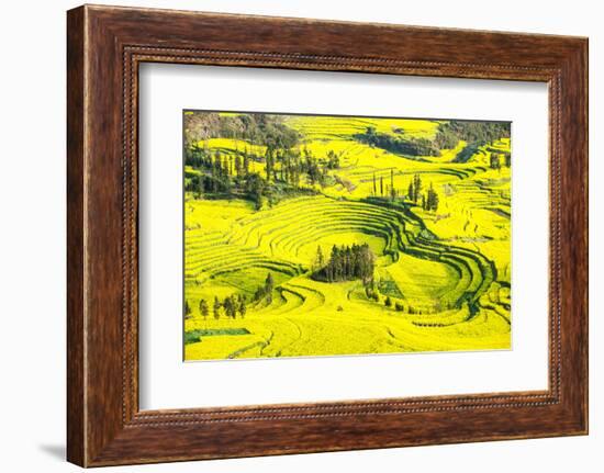 Rapeseed Farms in Niujie, Luoping-Nadia Isakova-Framed Photographic Print