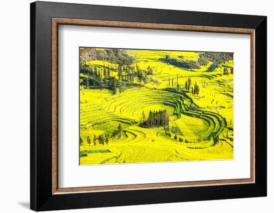 Rapeseed Farms in Niujie, Luoping-Nadia Isakova-Framed Photographic Print