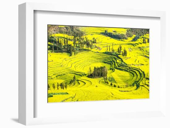 Rapeseed Farms in Niujie, Luoping-Nadia Isakova-Framed Photographic Print