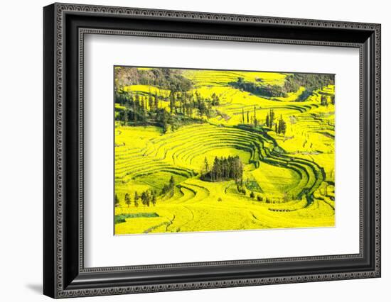 Rapeseed Farms in Niujie, Luoping-Nadia Isakova-Framed Photographic Print