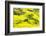 Rapeseed Farms in Niujie, Luoping-Nadia Isakova-Framed Photographic Print