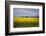 Rapeseed Field in Spring, Mecklenburg-Western Pomerania-Andrea Haase-Framed Photographic Print