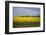 Rapeseed Field in Spring, Mecklenburg-Western Pomerania-Andrea Haase-Framed Photographic Print