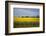 Rapeseed Field in Spring, Mecklenburg-Western Pomerania-Andrea Haase-Framed Photographic Print