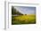 Rapeseed Field in Spring, Mecklenburg-Western Pomerania-Andrea Haase-Framed Photographic Print