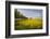 Rapeseed Field in Spring, Mecklenburg-Western Pomerania-Andrea Haase-Framed Photographic Print