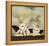 Raphael Cat-Chameleon Design, Inc.-Framed Stretched Canvas