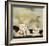 Raphael Cat-Chameleon Design, Inc.-Framed Premium Giclee Print