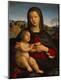 Premium Giclee Print