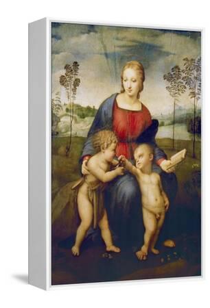 入手困難 板 GILAFFE ジラーフ MADONNA 愛まどんな 150cm 入手困難 板 GILAFFE ジラーフ MADONNA 愛まどんな 150cm - メルカリ